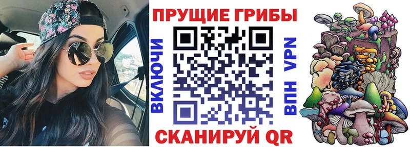 закладка  Красноярск  hydra сайт  Галлюциногенные грибы Cubensis 