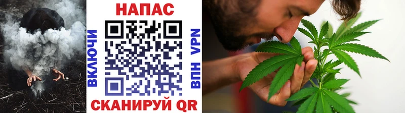 Каннабис OG Kush  Красноярск 